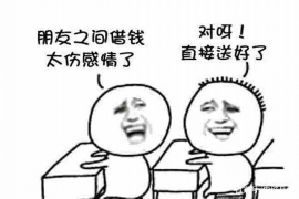 嘉鱼融资清欠服务